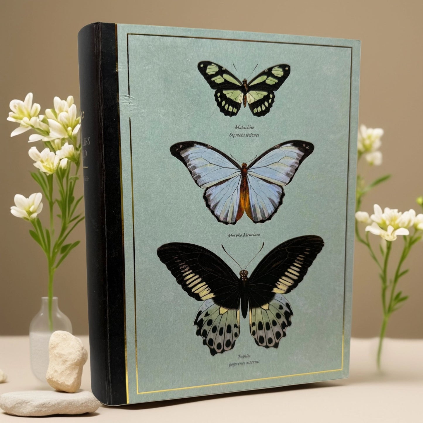 Butterflies of the World Gift Box: Nourishing and Soothing Skincare Set - Queen City Skincare
