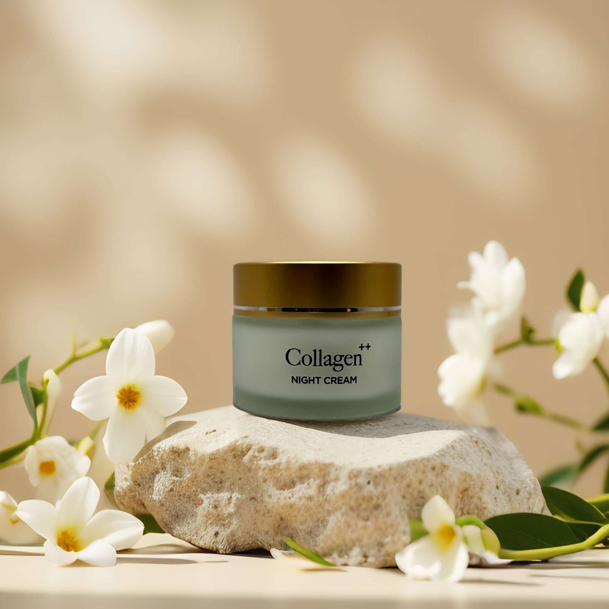 Overnight firming Collagen++ night cream jar on a stone with flowers, promoting age-defying skincare.