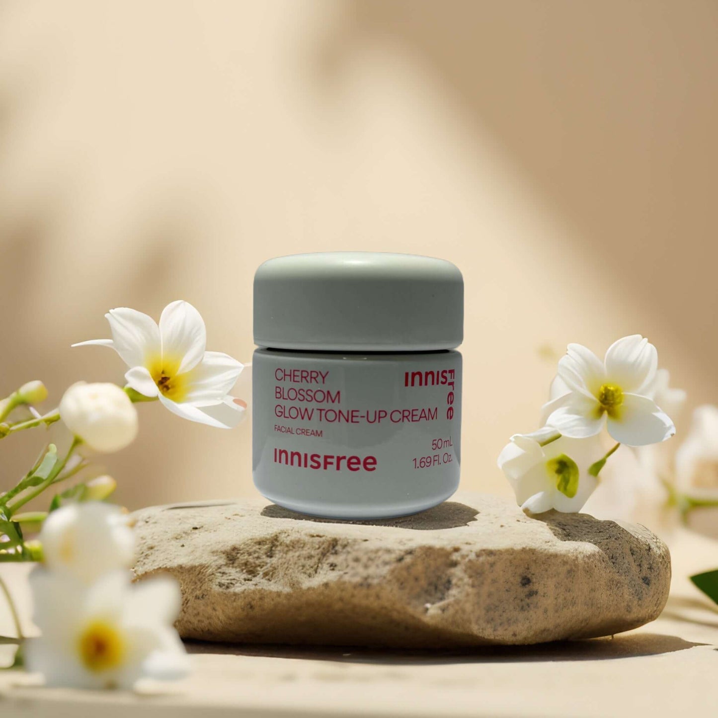 Innisfree Cherry Blossom Glow Tone-Up Cream on a stone with white flowers, enhances skin radiance and evens skin tone.