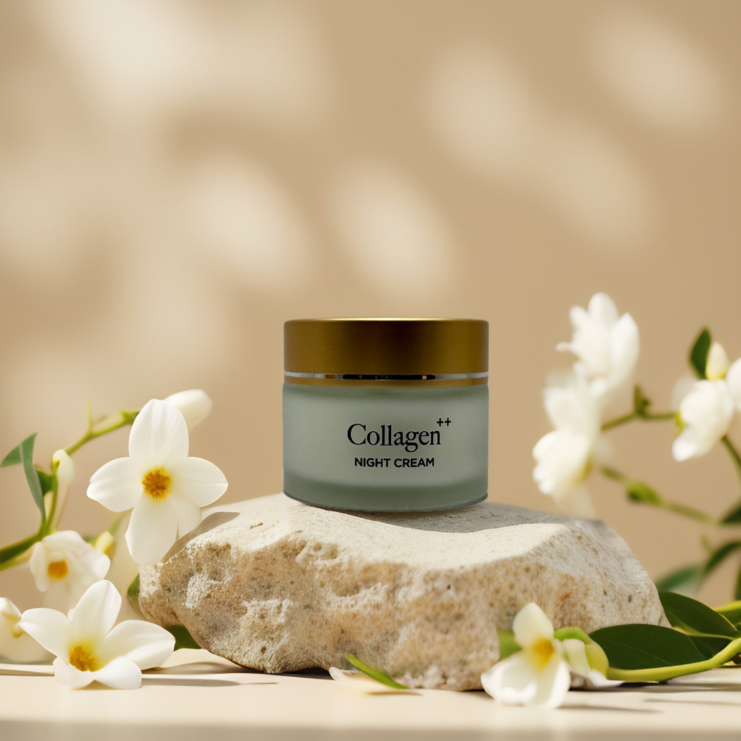 Overnight Firming | Collagen++ Age-Defying Night Cream – 1.7 fl oz