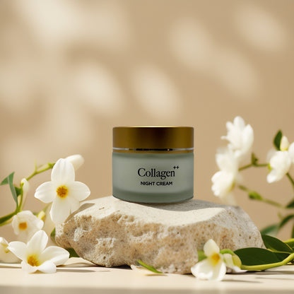 Overnight Firming | Collagen++ Age-Defying Night Cream – 1.7 fl oz